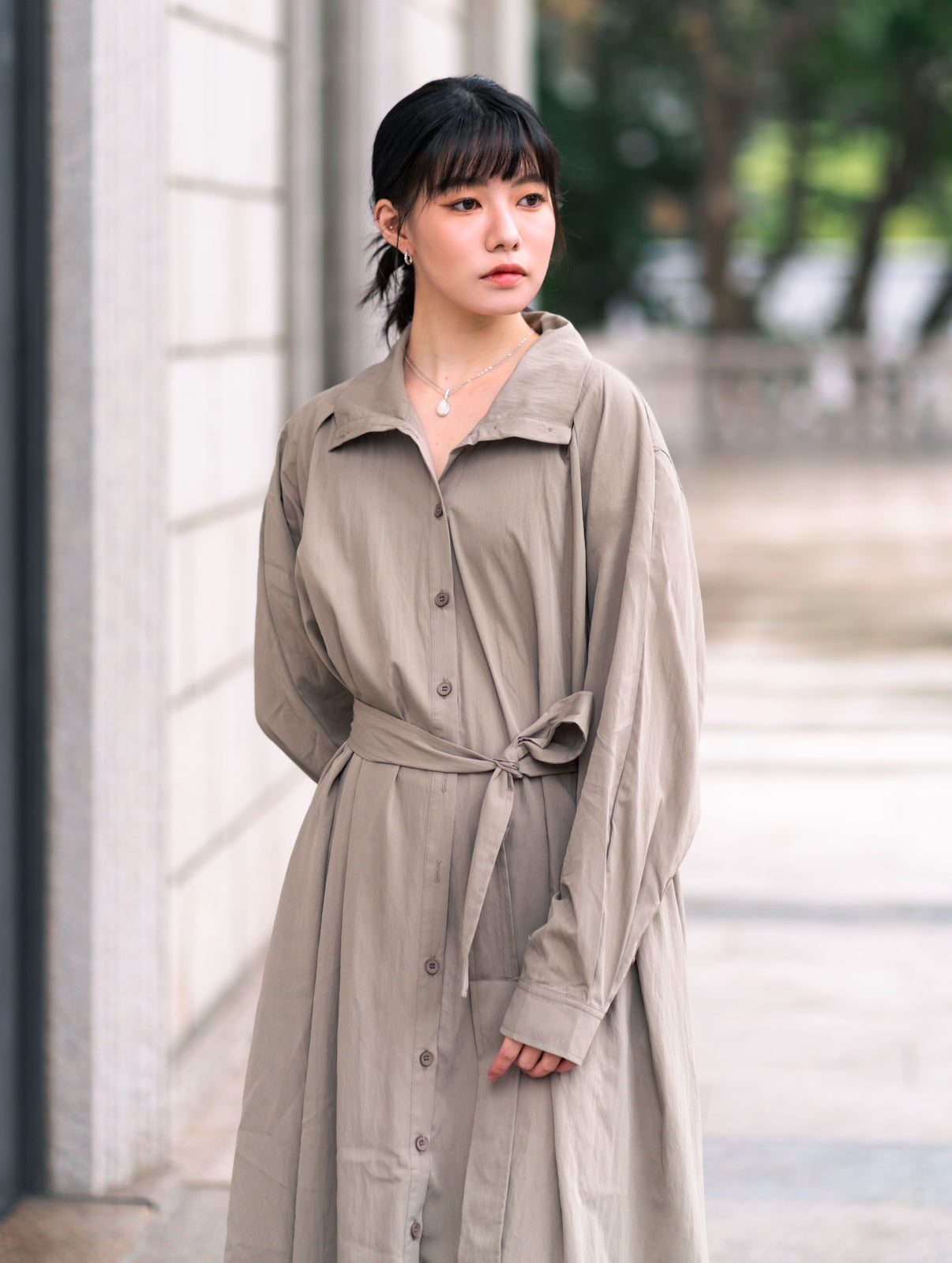 The Elegance Falls Trench Dress